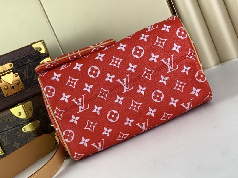 LV Speedy Bags